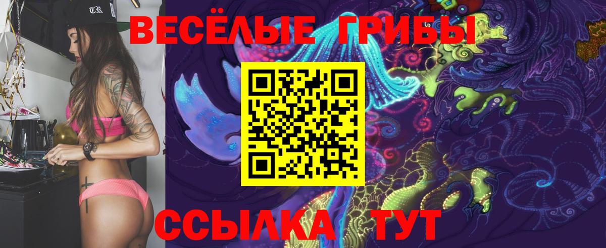 ГАШ  Кокаин  Сокол  Alpha-PVP СК кристаллы  Меф МЯУ МЯУ кристаллы  Гашиш  Марихуана  Вход с VPN 