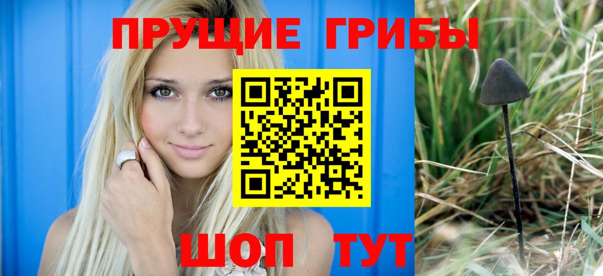 Сокол  Псилоцибиновые грибы мухоморы  Вход с VPN 